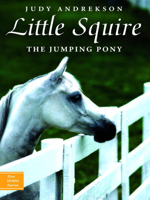 Title details for Little Squire by Judy Andrekson - Available